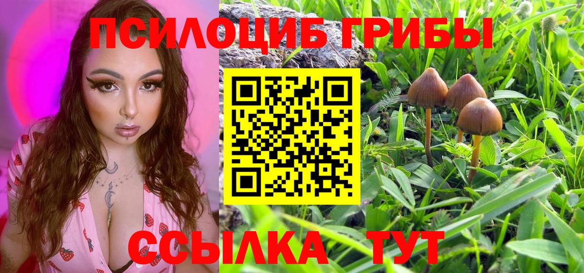 Псилоцибиновые грибы прущие грибы  Вход с VPN  Галлюциногенные грибы мицелий  Сорочинск 