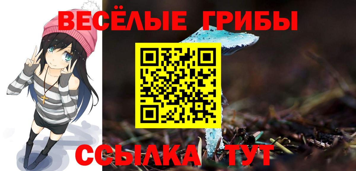 Псилоцибиновые грибы Psilocybe Сорочинск